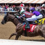 ABR Sunday Selections: Full-Card Picks for July 20 at Saratoga